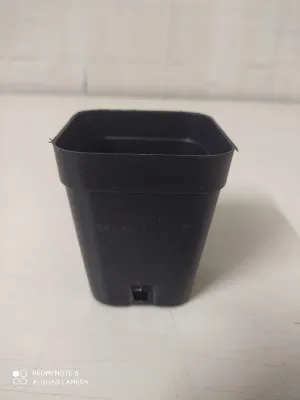 2.5" Square Pot