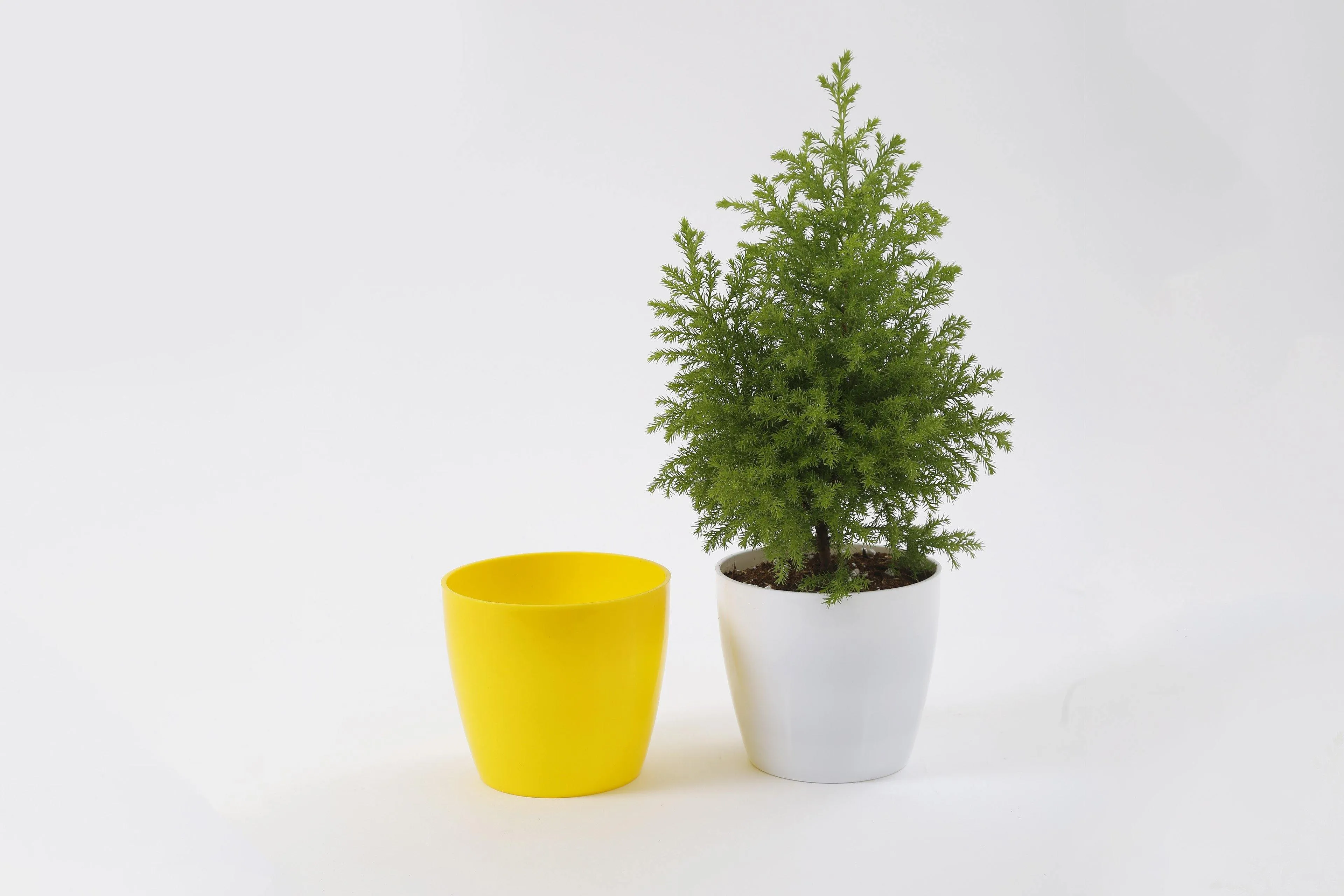 5 Inch Yellow Singapore Pot (125mm)