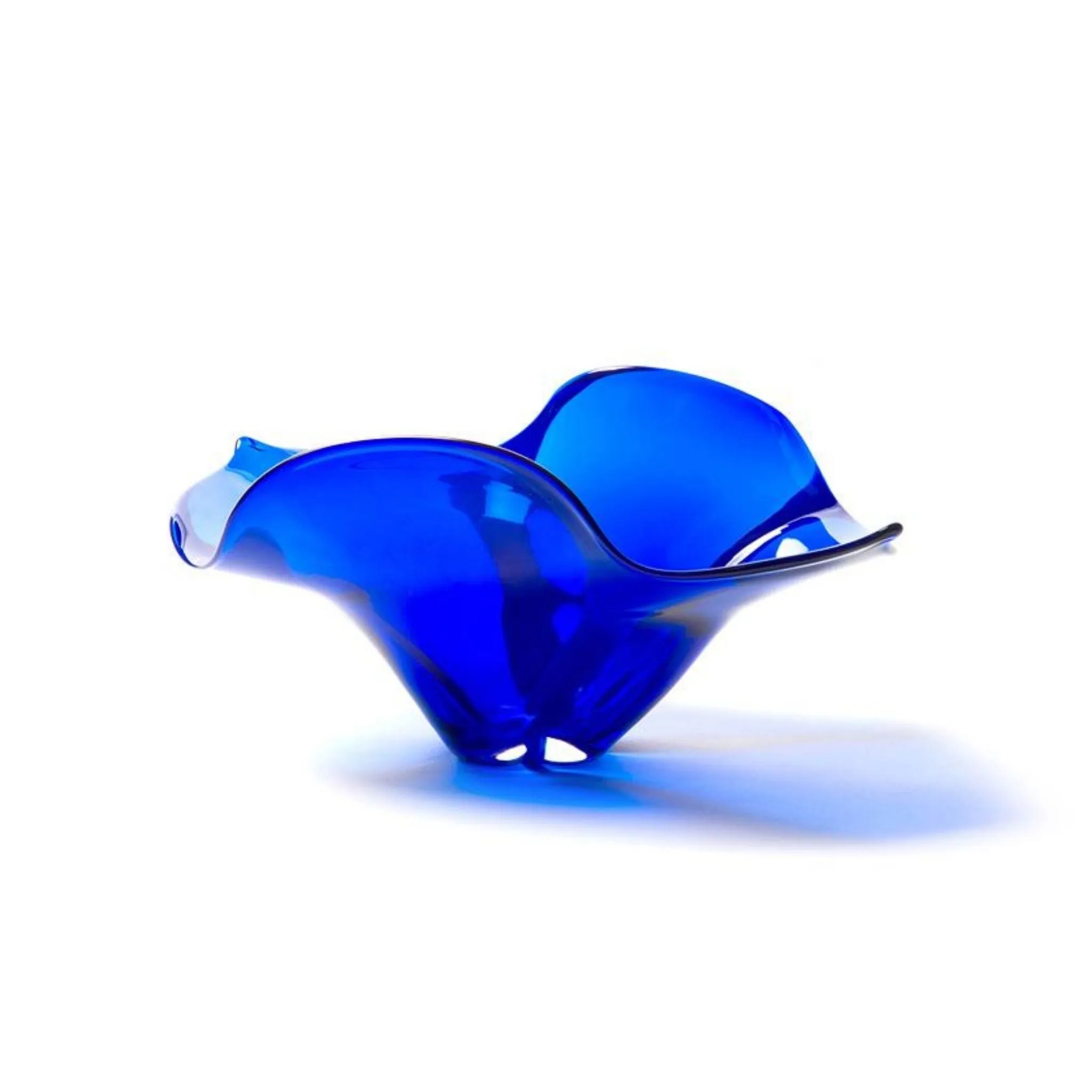 Colour Bloom Bowl