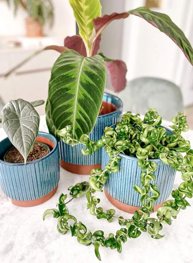 Industrial Stripes Planter