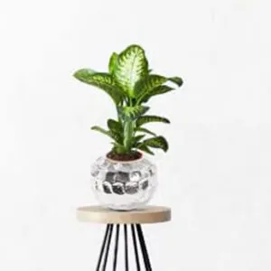 Kuber Industries Stainless Steel 6L Round Planters for Living Room, Office & Home Decor | Rust Resistant Flower Pots for Home Decoration | Gardening Pots for Indoor & Outdoor | Silver