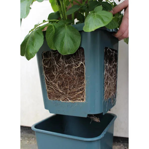 Potato Pots