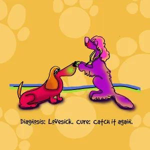 "Diagnosis: Lovesick. Cure: Catch it again." WHIMSHOTS CANVAS