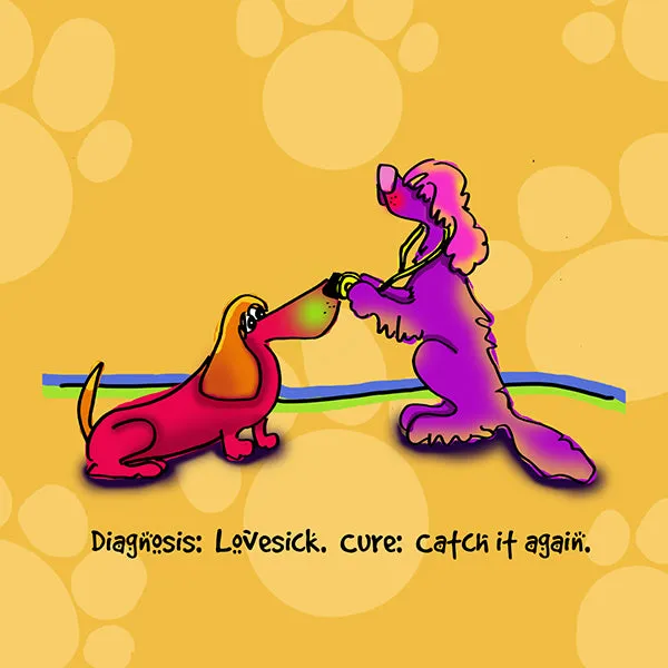 "Diagnosis: Lovesick. Cure: Catch it again." WHIMSHOTS CANVAS