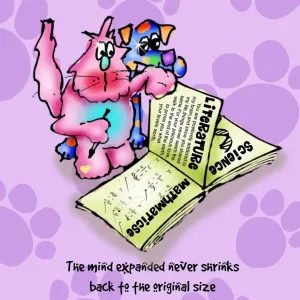 "The mind expanded never shrinks back to the original size" CANVAS