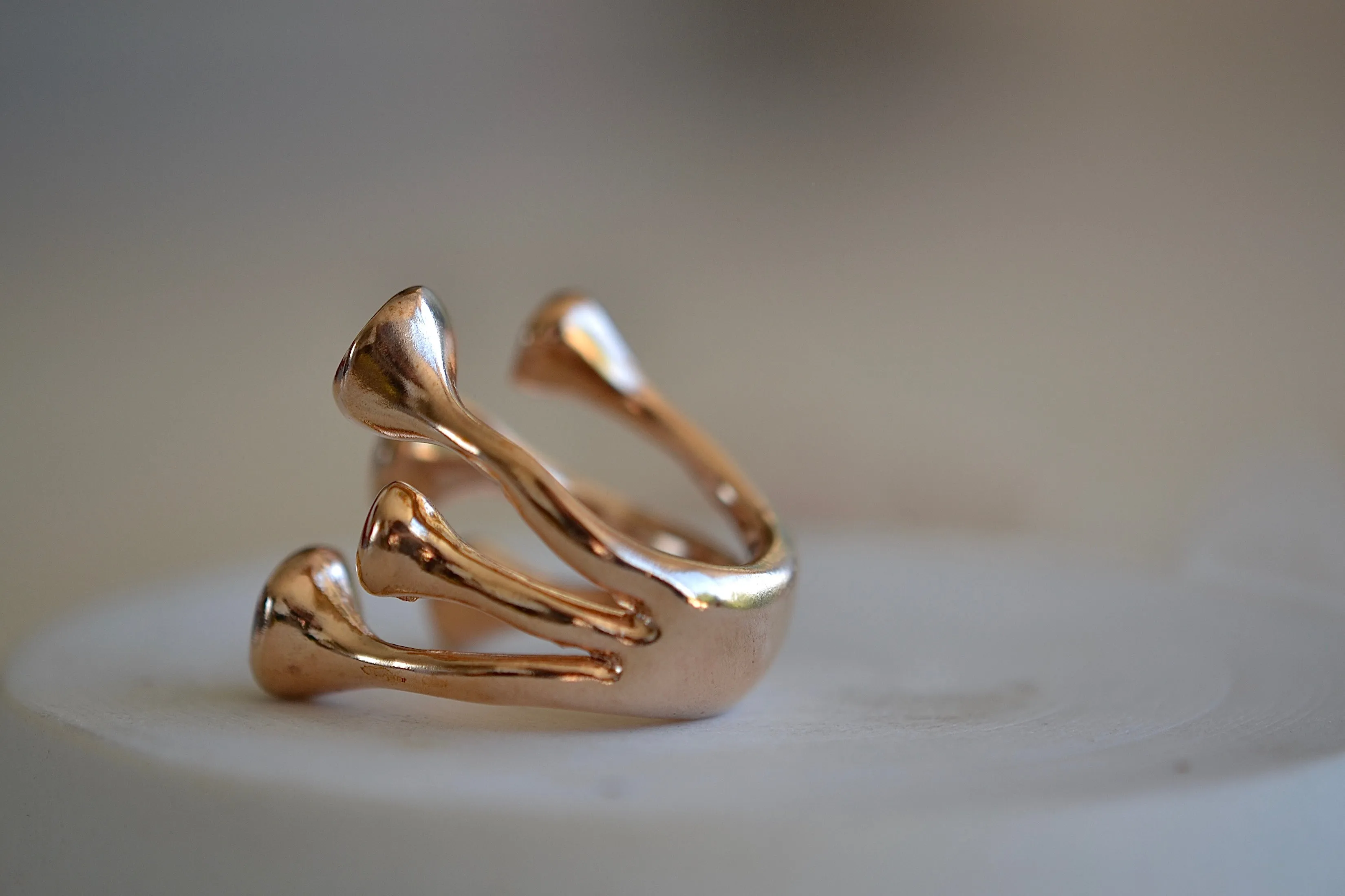 Sassolini 08 Ring