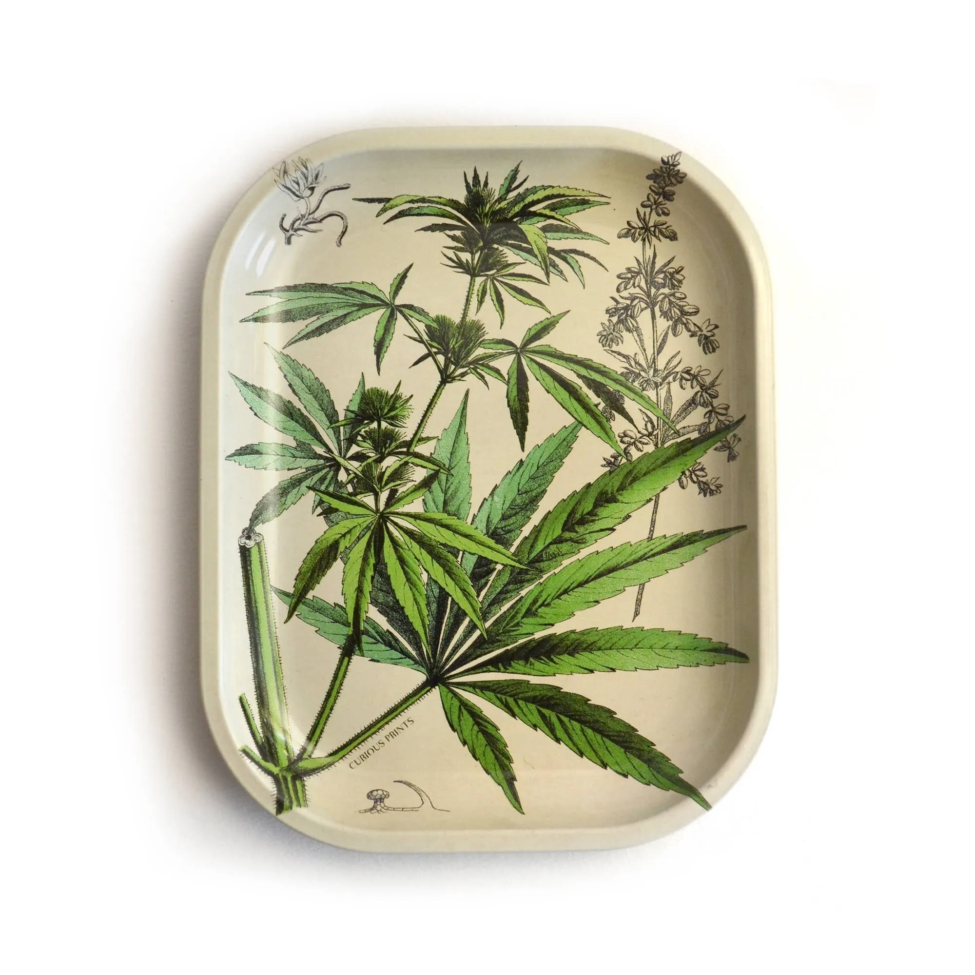 Small Metal Cannabis Ritual Tray / Vintage Botanical Print as