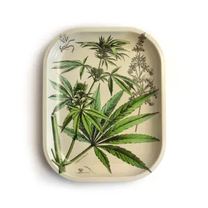 Small Metal Cannabis Ritual Tray / Vintage Botanical Print as