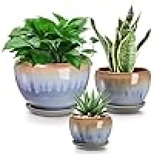 Smokey Echoes Planter