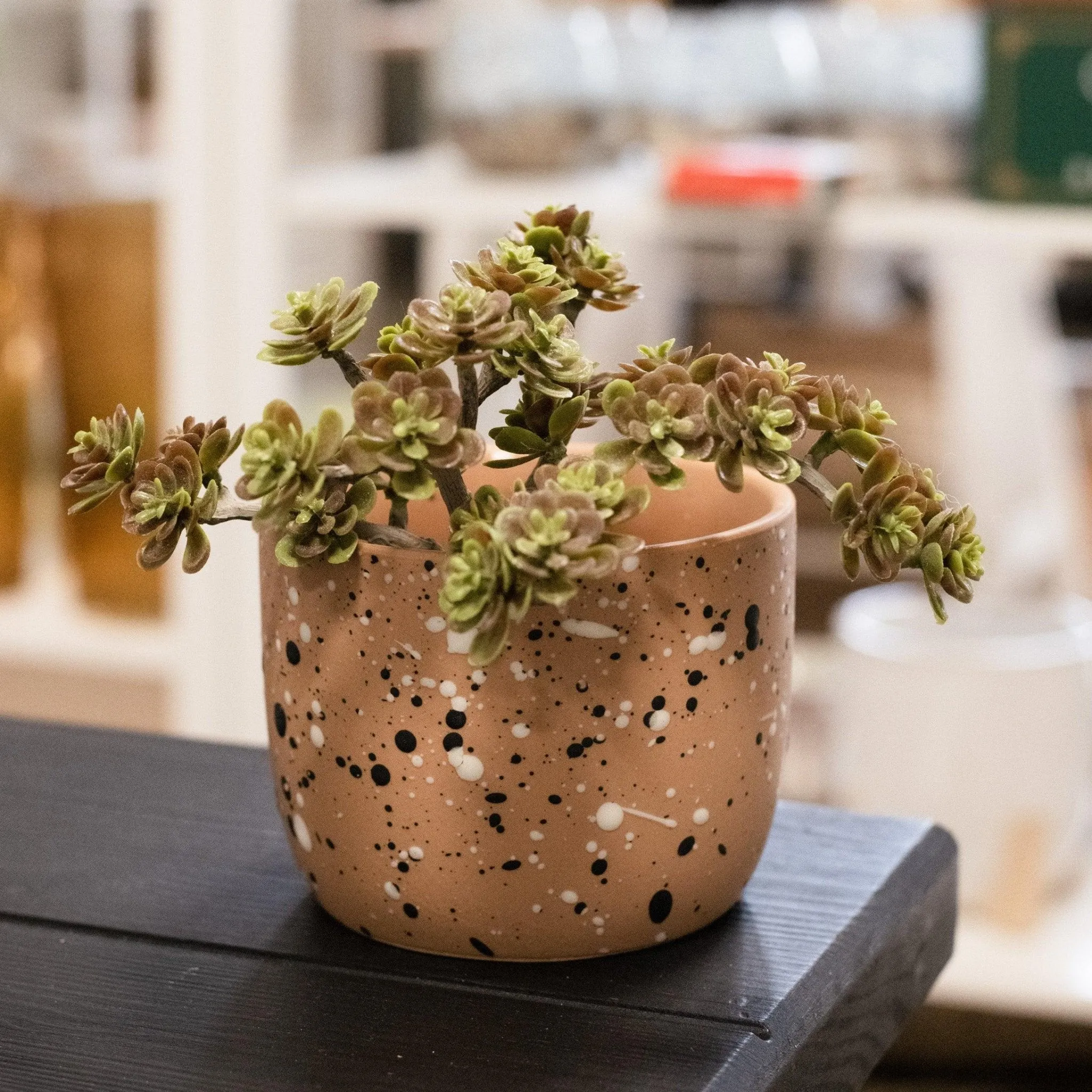 Speckle Pot