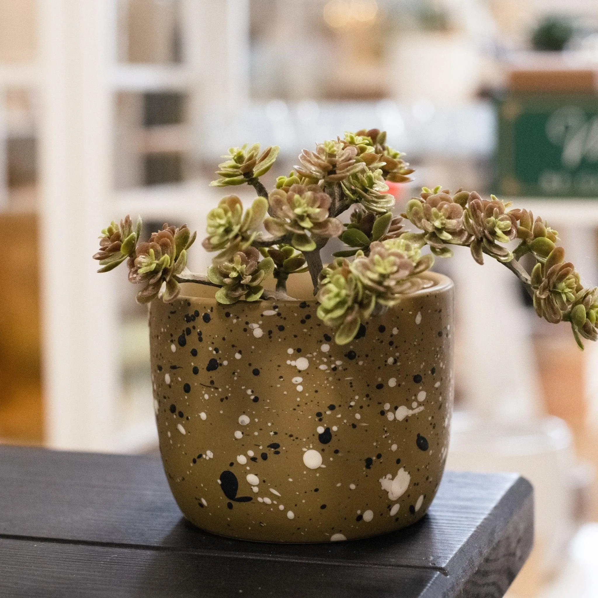 Speckle Pot
