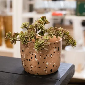 Speckle Pot