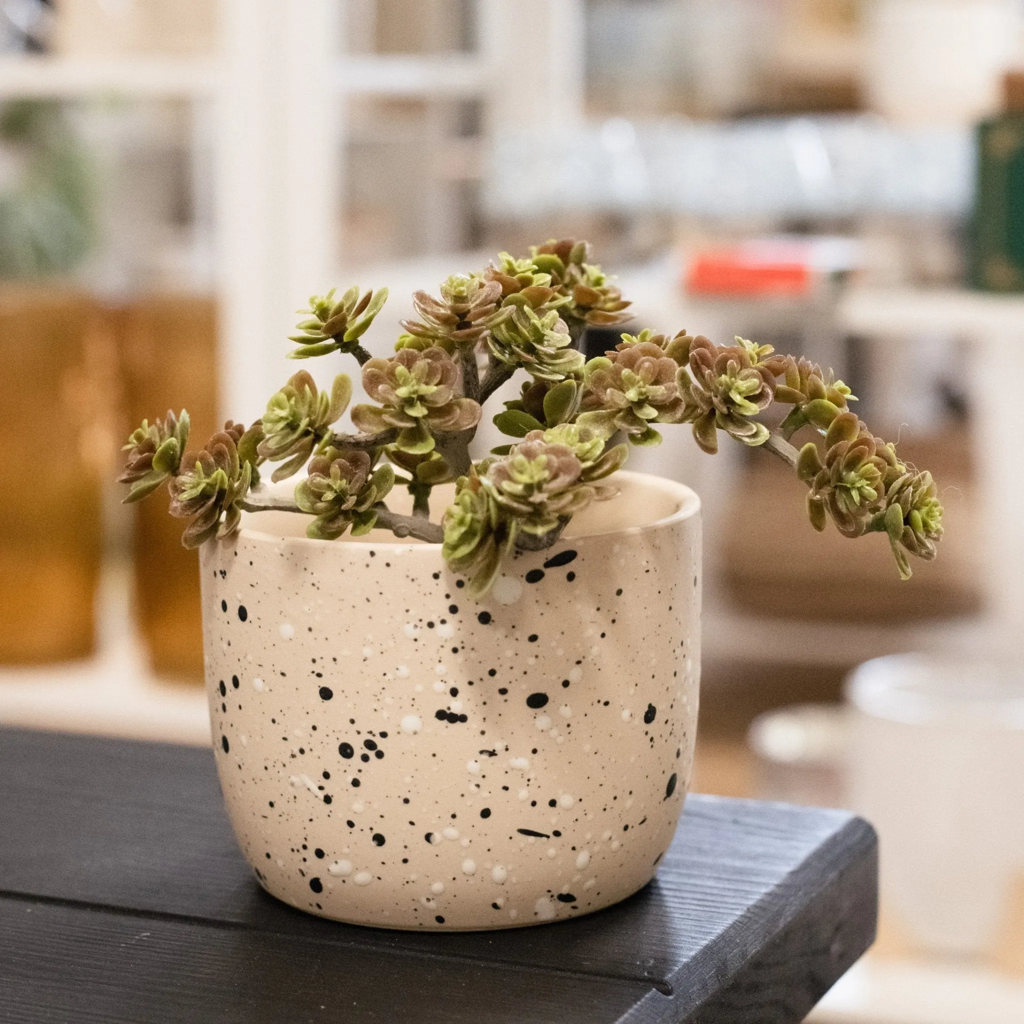 Speckle Pot